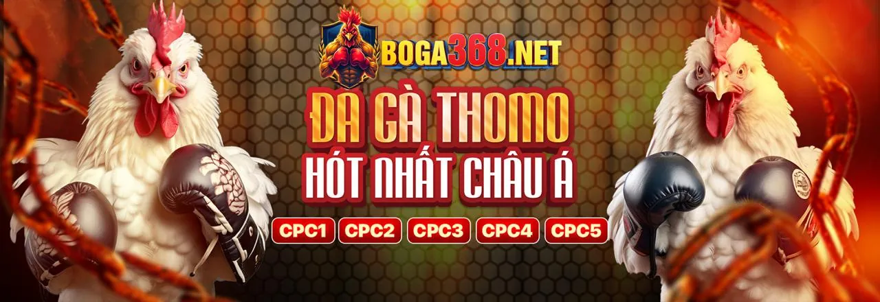 Đá gà kịch tính tại 56wun hiện đang mở