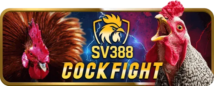 Cá cược thể thao 56wun