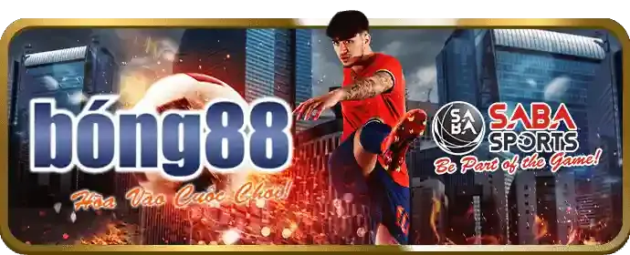 Nền tảng cá cược an toàn 56wun